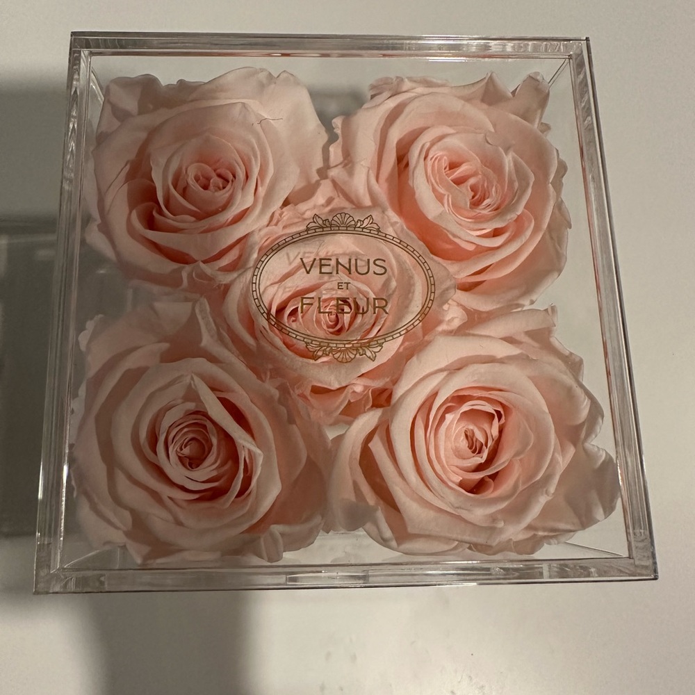 Venus et Fleur roses jewerly box (new)